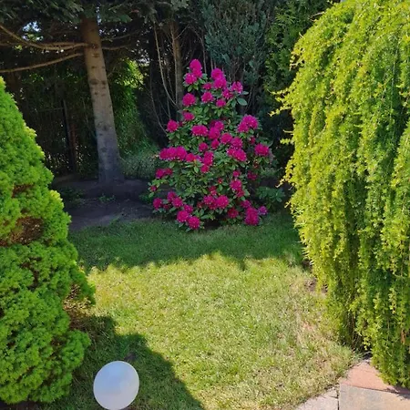 Admiral Maison d'hôtes